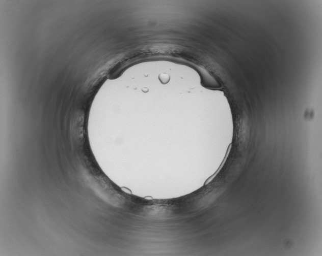 X0000112050356200909151008