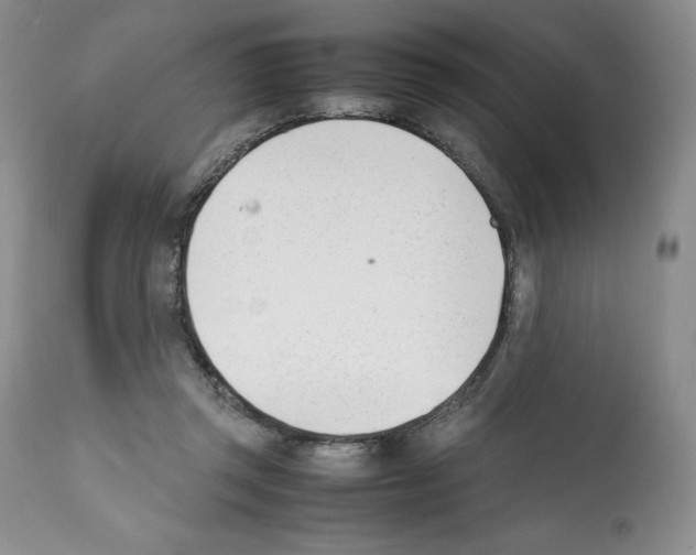 X0000112050357200909151008