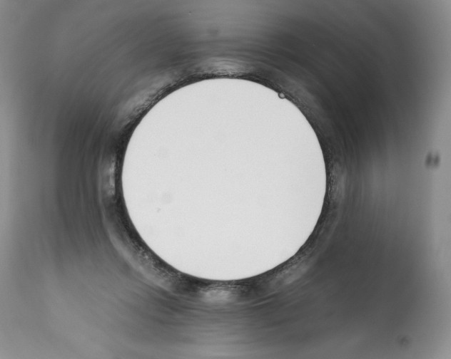 X0000112050358200909151008