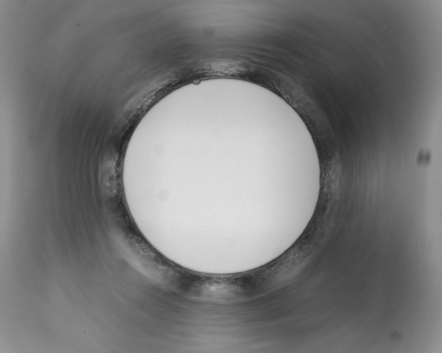 X0000112050360200909151008