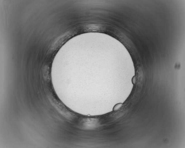 X0000112050361200909151008