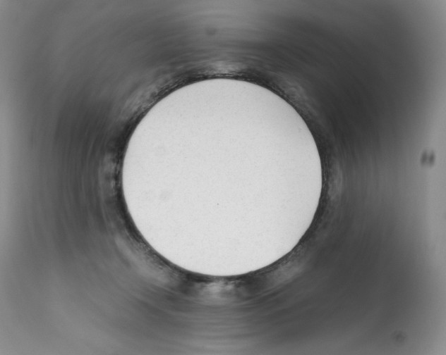 X0000112050366200909151008