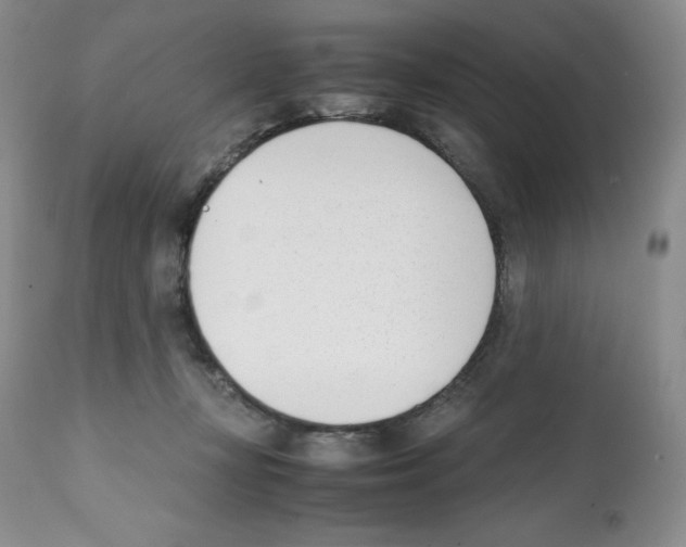 X0000112050367200909151008