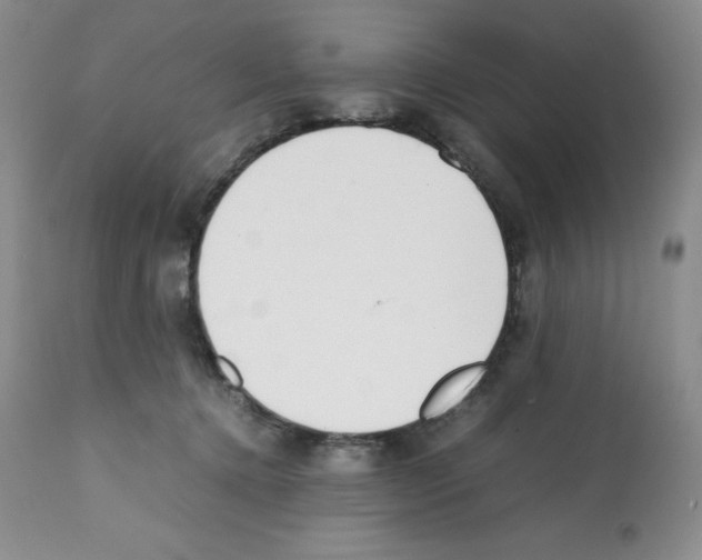 X0000112050368200909151008