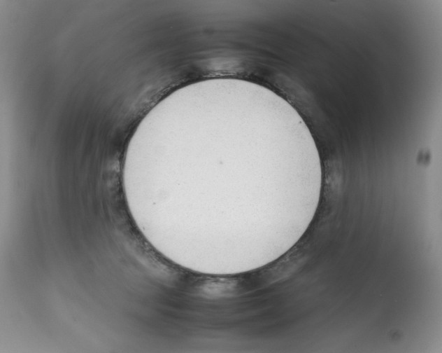 X0000112050369200909151008
