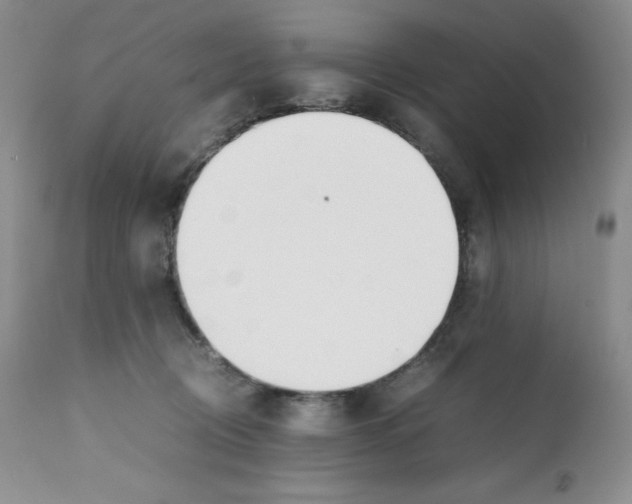 X0000112050370200909151008