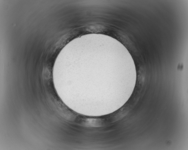 X0000112050371200909151008