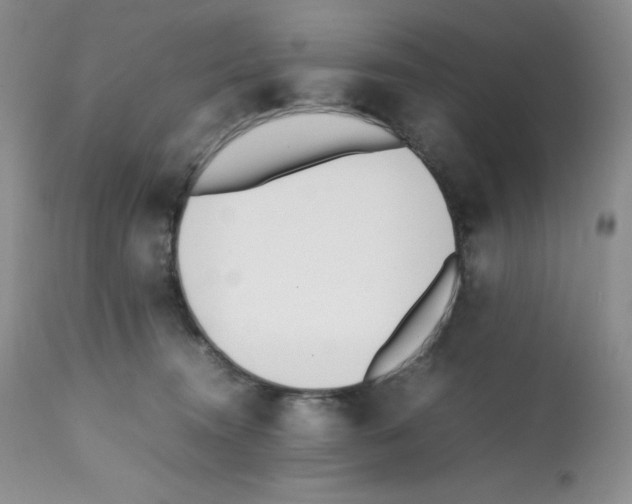X0000112050372200909151008