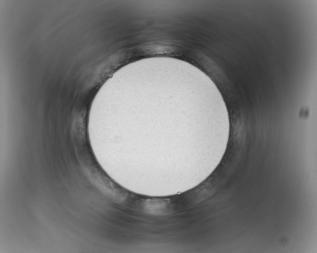 X0000112050373200909151008