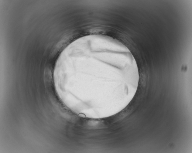 X0000112050375200909151008