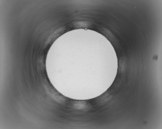 X0000112050377200909151008
