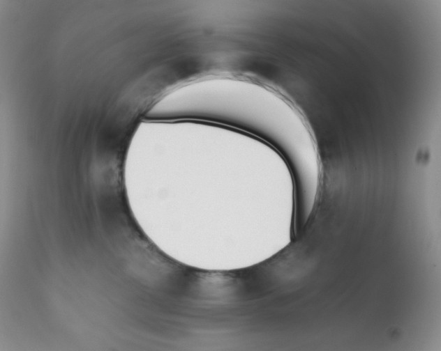 X0000112050380200909151008
