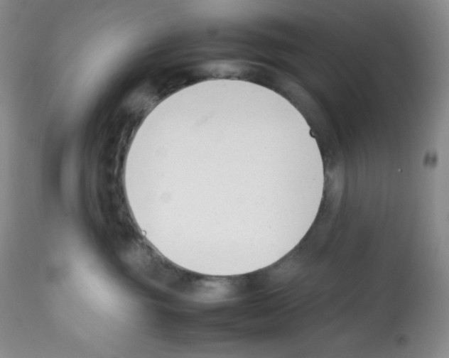 X0000112050381200909151008