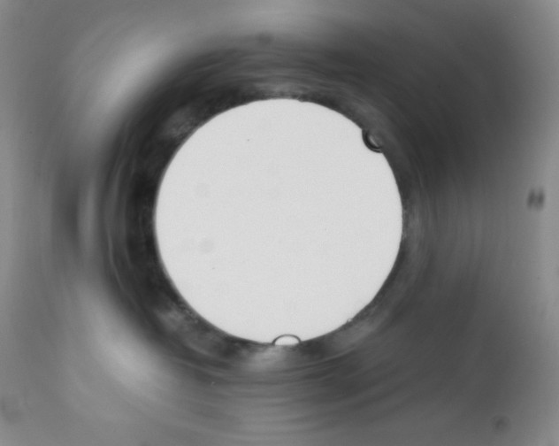 X0000112050382200909151008