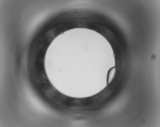 X0000112050383200909151008