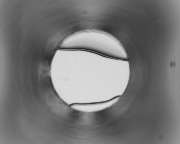 X0000112050384200909151008