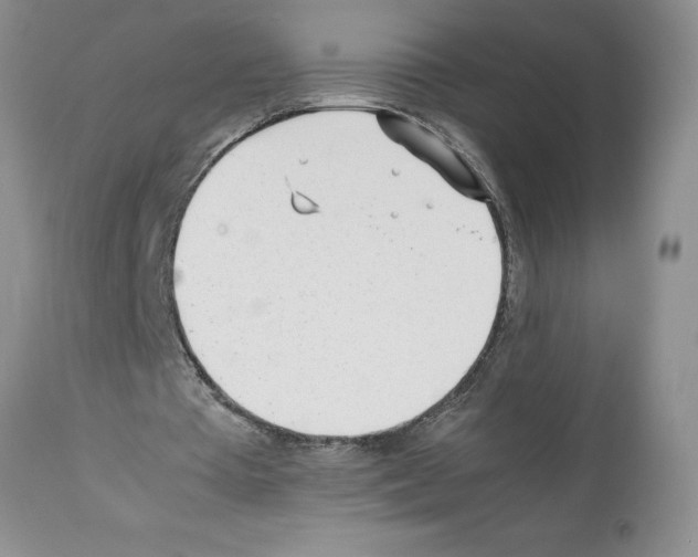 X0000112050385200909151008