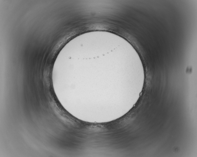 X0000112050386200909151008