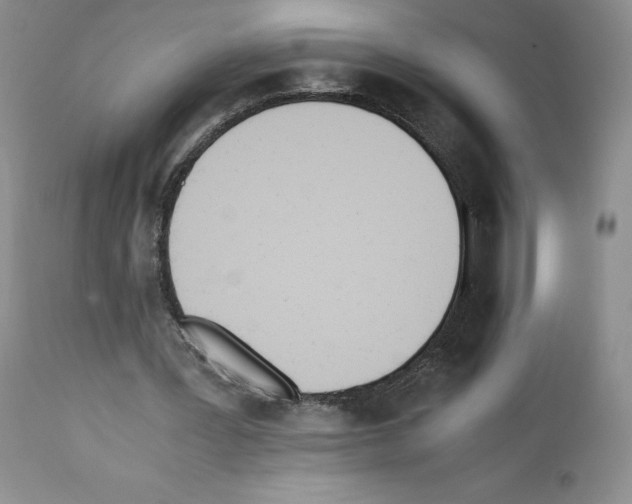 X0000112050387200909151008