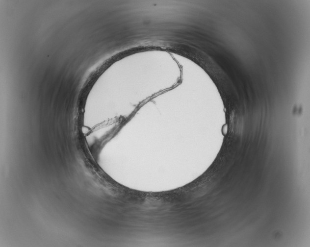 X0000112050388200909151008