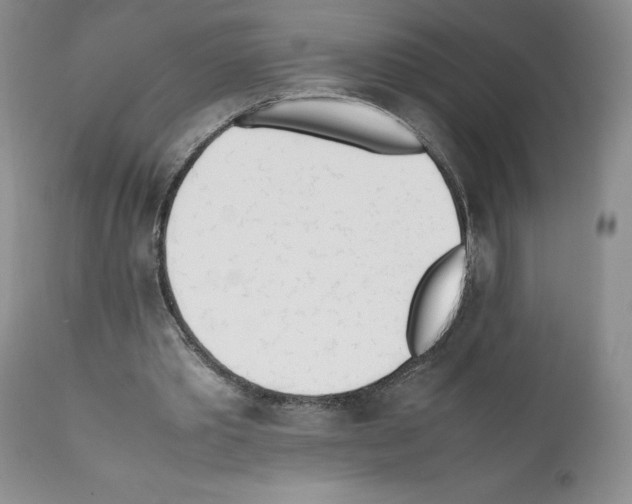 X0000112050389200909151008