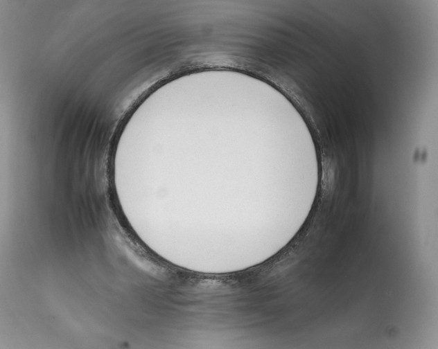 X0000112050390200909151008