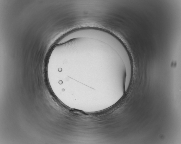 X0000112050391200909151008