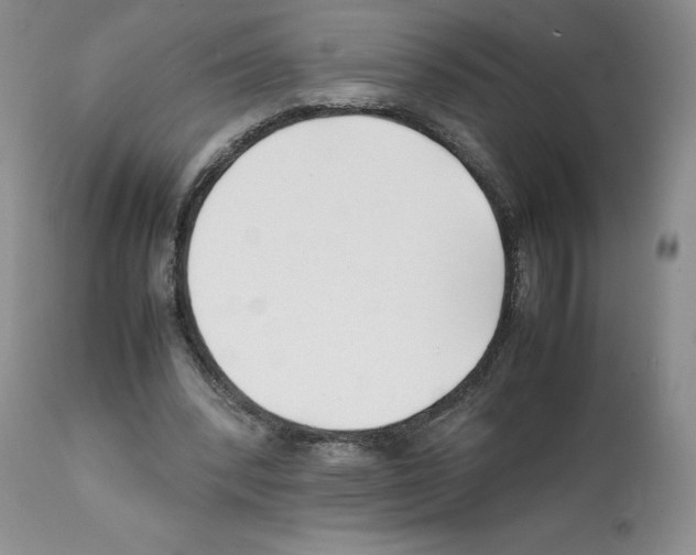 X0000112050392200909151008