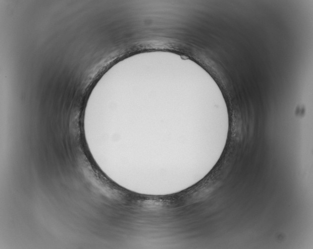 X0000112050394200909151008