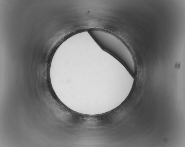 X0000112050395200909151007