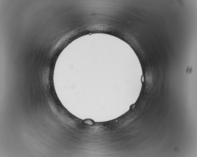 X0000112050396200909151007