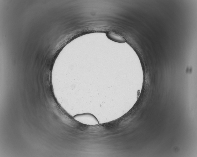 X0000112050397200909151007