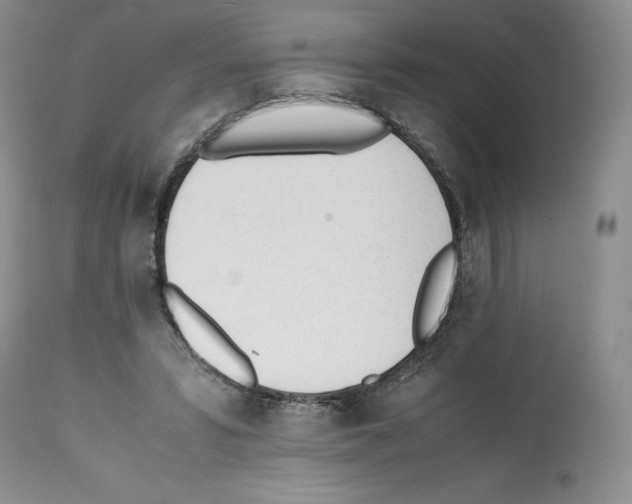 X0000112050399200909151007