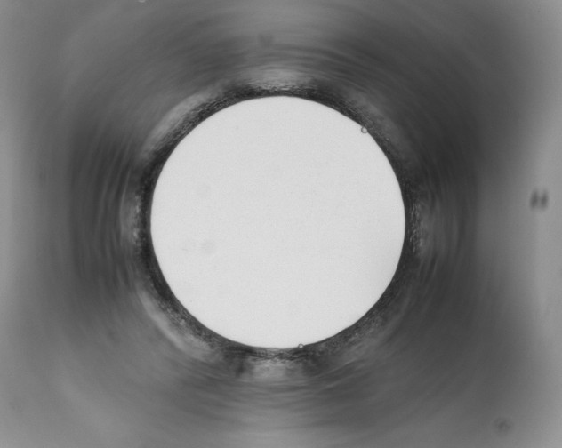 X0000112050400200909151007