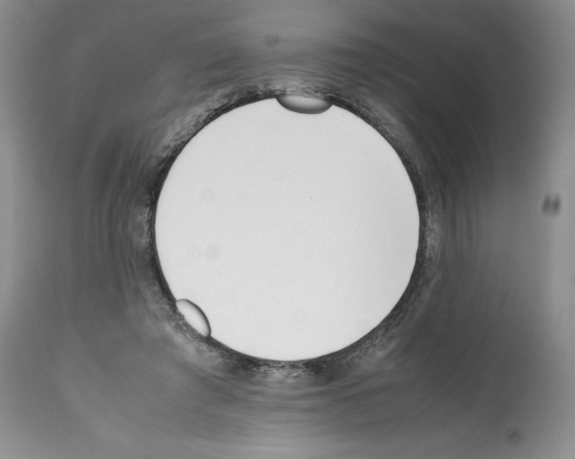 X0000112050401200909151007