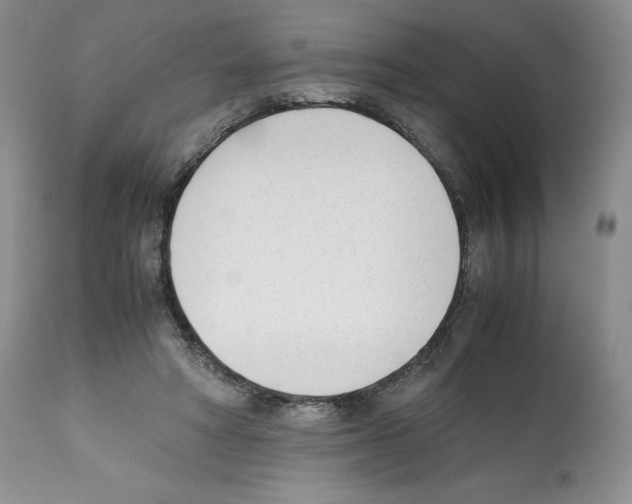 X0000112050402200909151007