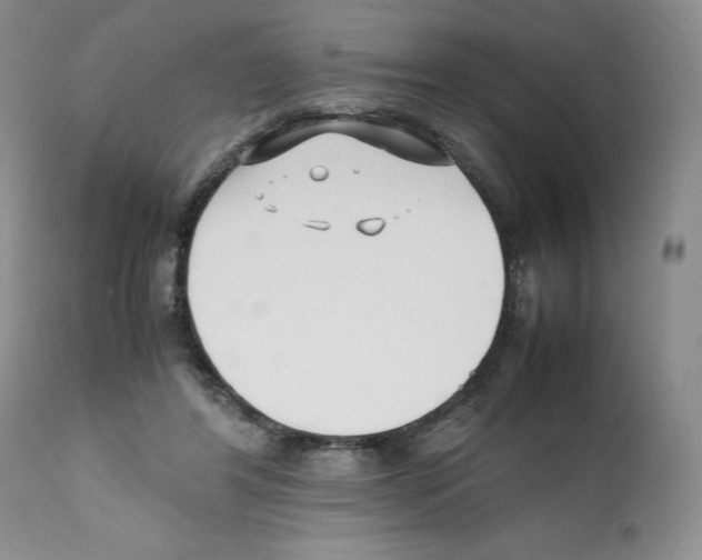 X0000112050404200909151007