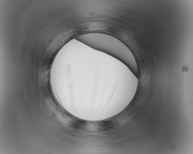 X0000112050405200909151007