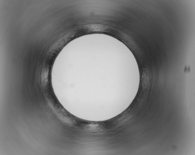 X0000112050406200909151007