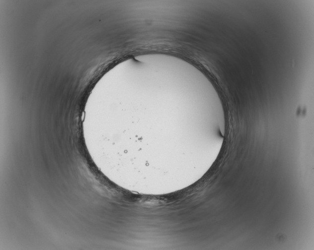 X0000112050407200909151007