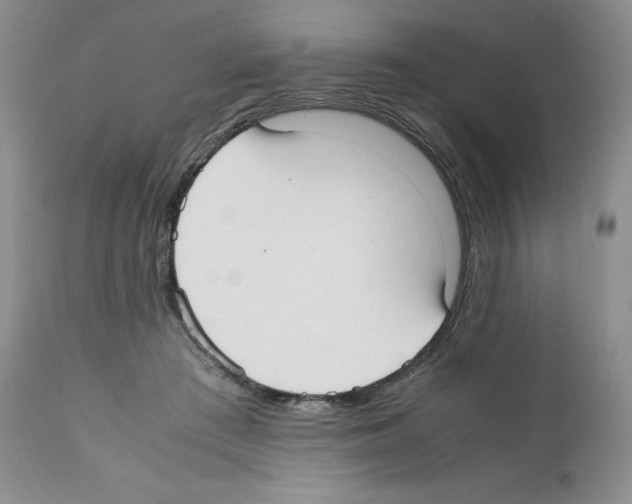 X0000112050409200909151007