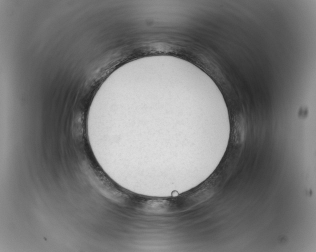 X0000112050410200909151007
