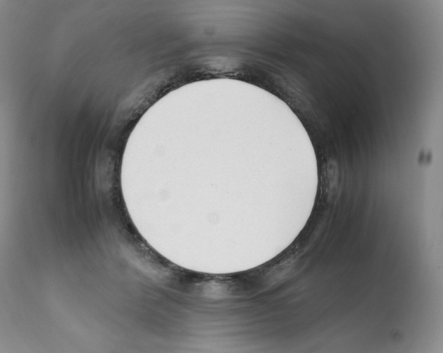 X0000112050412200909151007