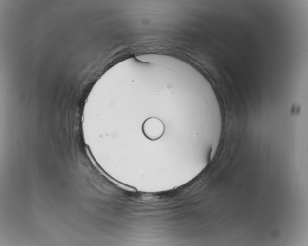 X0000112050413200909151007