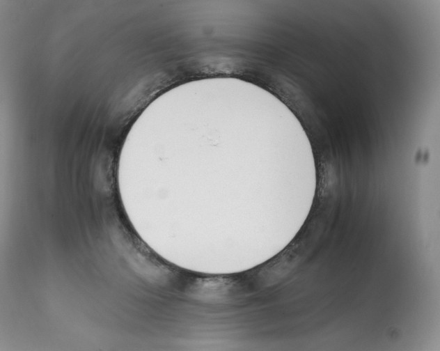 X0000112050414200909151007