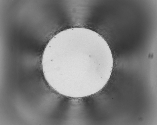 X0000112050415200909151007