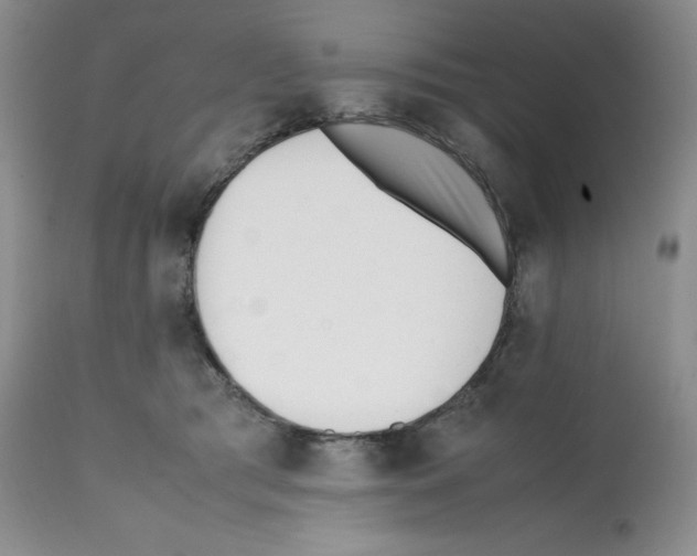 X0000112050417200909151007