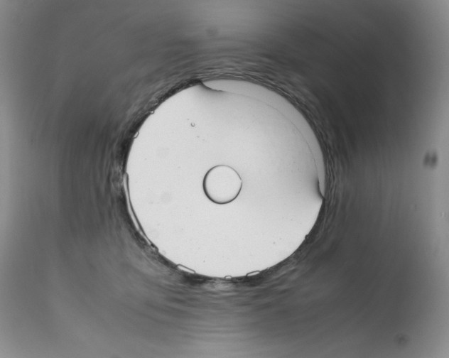 X0000112050419200909151007