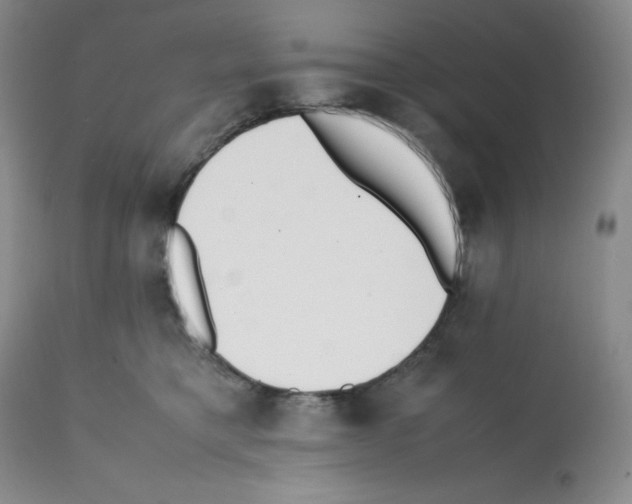X0000112050421200909151007