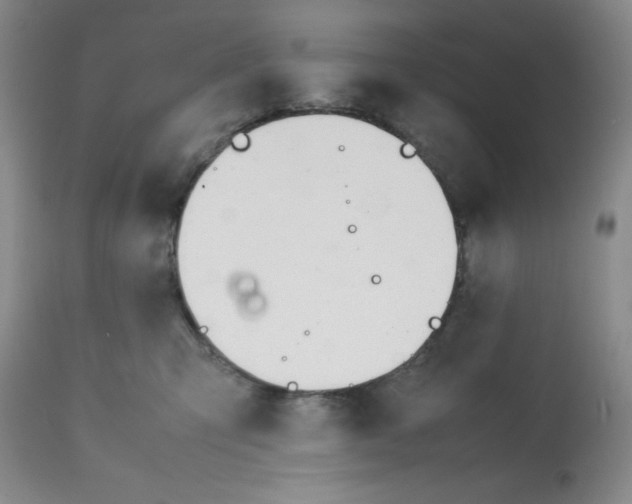 X0000112050423200909151007